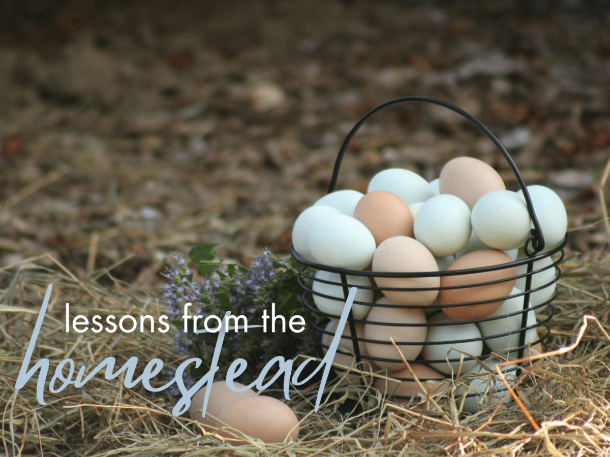 You Shouldn’t Be A&nbsp;Writer